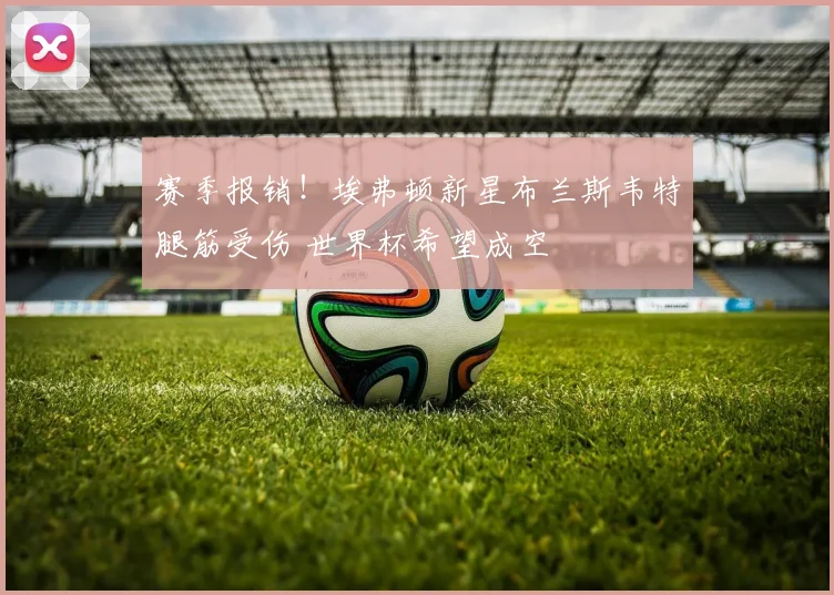 赛季报销!埃弗顿新星布兰斯韦特腿筋受伤 世界杯希望成空