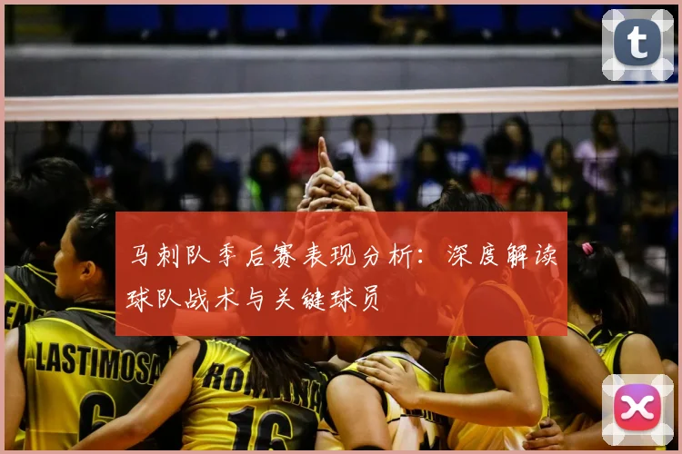 马刺队季后赛表现分析：深度解读球队战术与关键球员